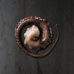 
                  
                    Load image into Gallery viewer, Octopus - Tenderized Portions
                  
                