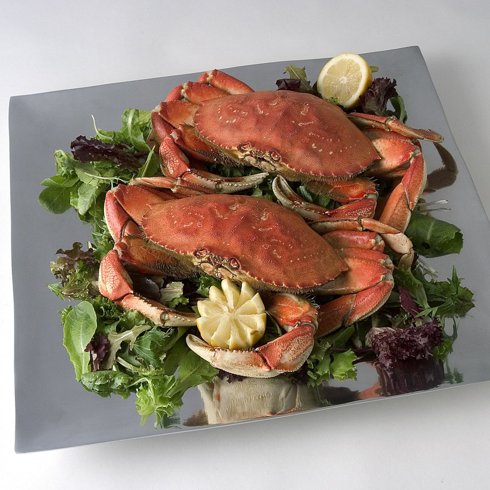 
                  
                    Load image into Gallery viewer, A Grade Live Dungeness Crab
                  
                